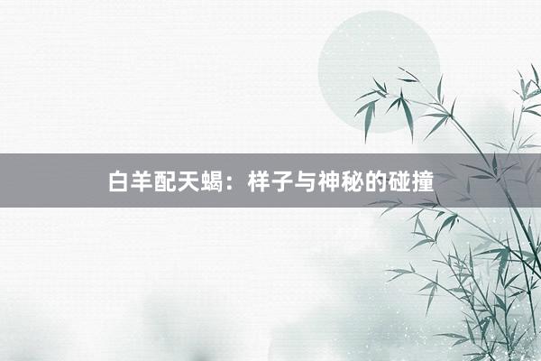 白羊配天蝎：样子与神秘的碰撞