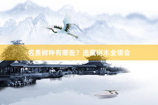 名贵树种有哪些？选藏树木全领会