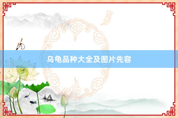 乌龟品种大全及图片先容